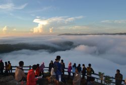 Paket Wisata Kebun Buah Mangunan Hutan Pinus Air Terjun Srigetuk Paket Wisata Kebun Buah Mangunan Hutan Pinus Air Terjun Srigetuk